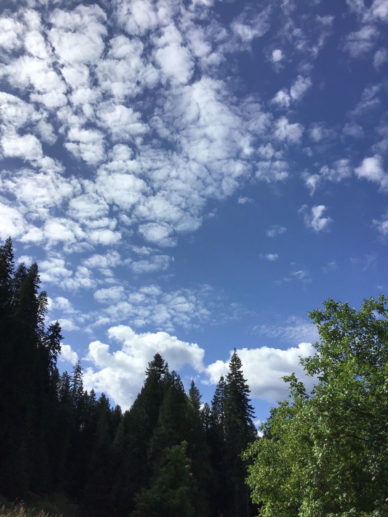 Blue skies in Lowell